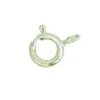 Spring Rings Nickel Plated 1 Package 2 Spring Rings Nickel Plated 1 Package -Watch Shop 62 101SS 16696.1659442851